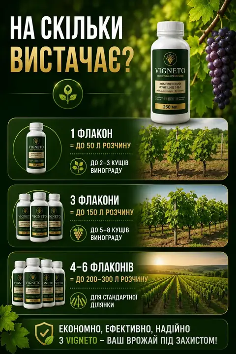 Витрата VIGNETO: скільки флаконів на яку площу виноградника